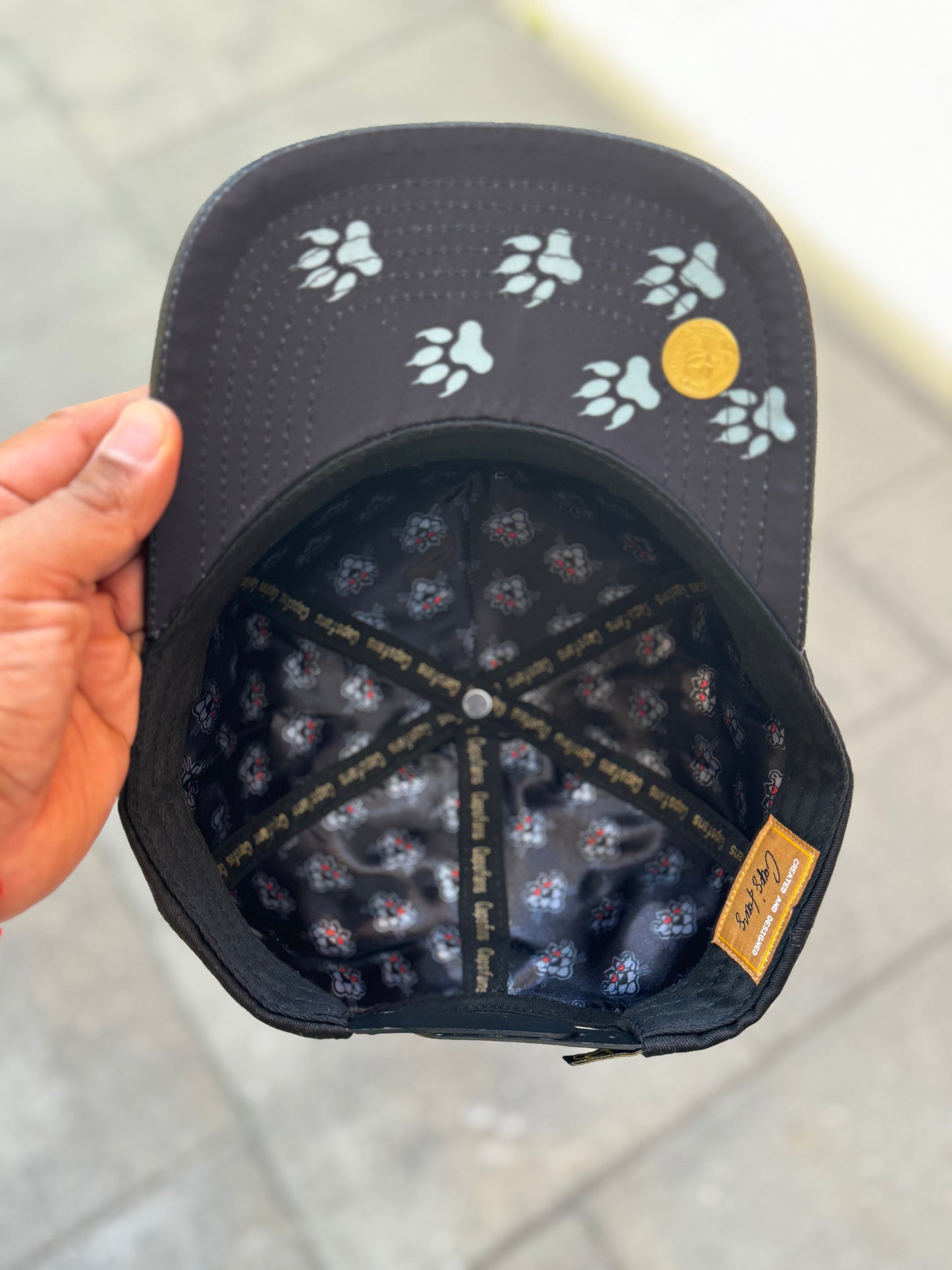 GORRA PANTERA 🐾🔥💵